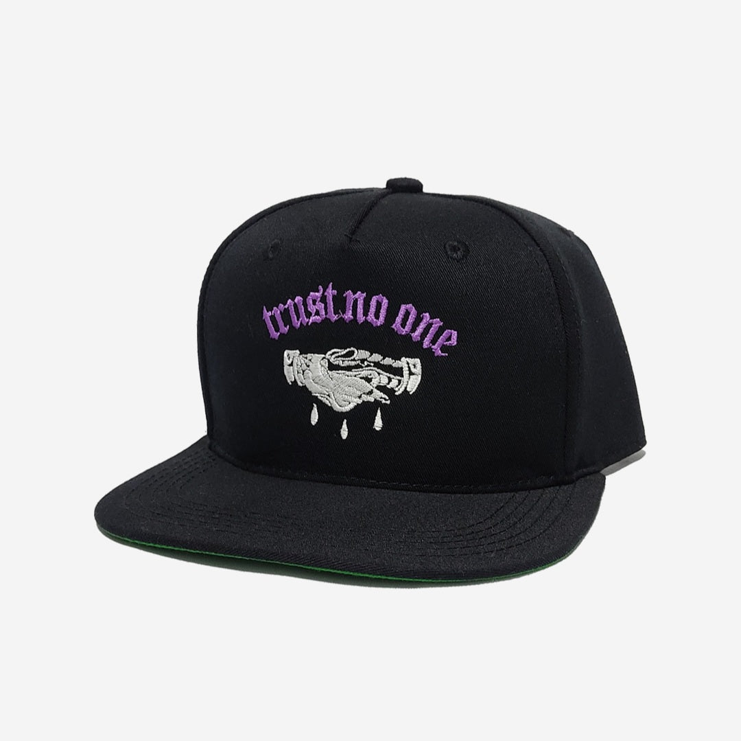 Gorra Trust No One Snapback