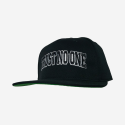 TNO - Trust Snapback
