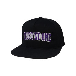 TNO - Trust Snapback