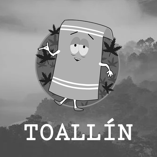 TOALLÍN