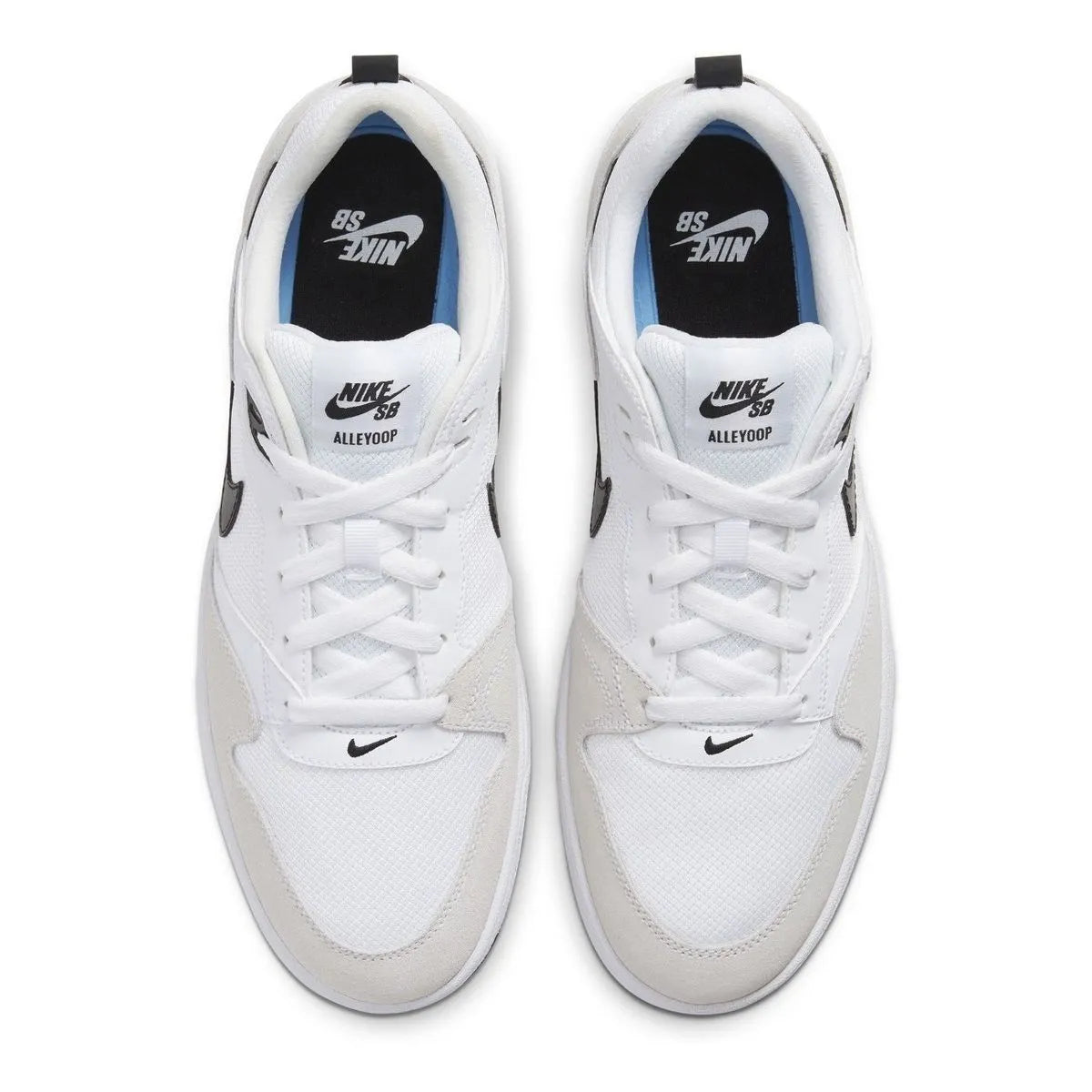 Zapatillas Nike SB Alleyoop