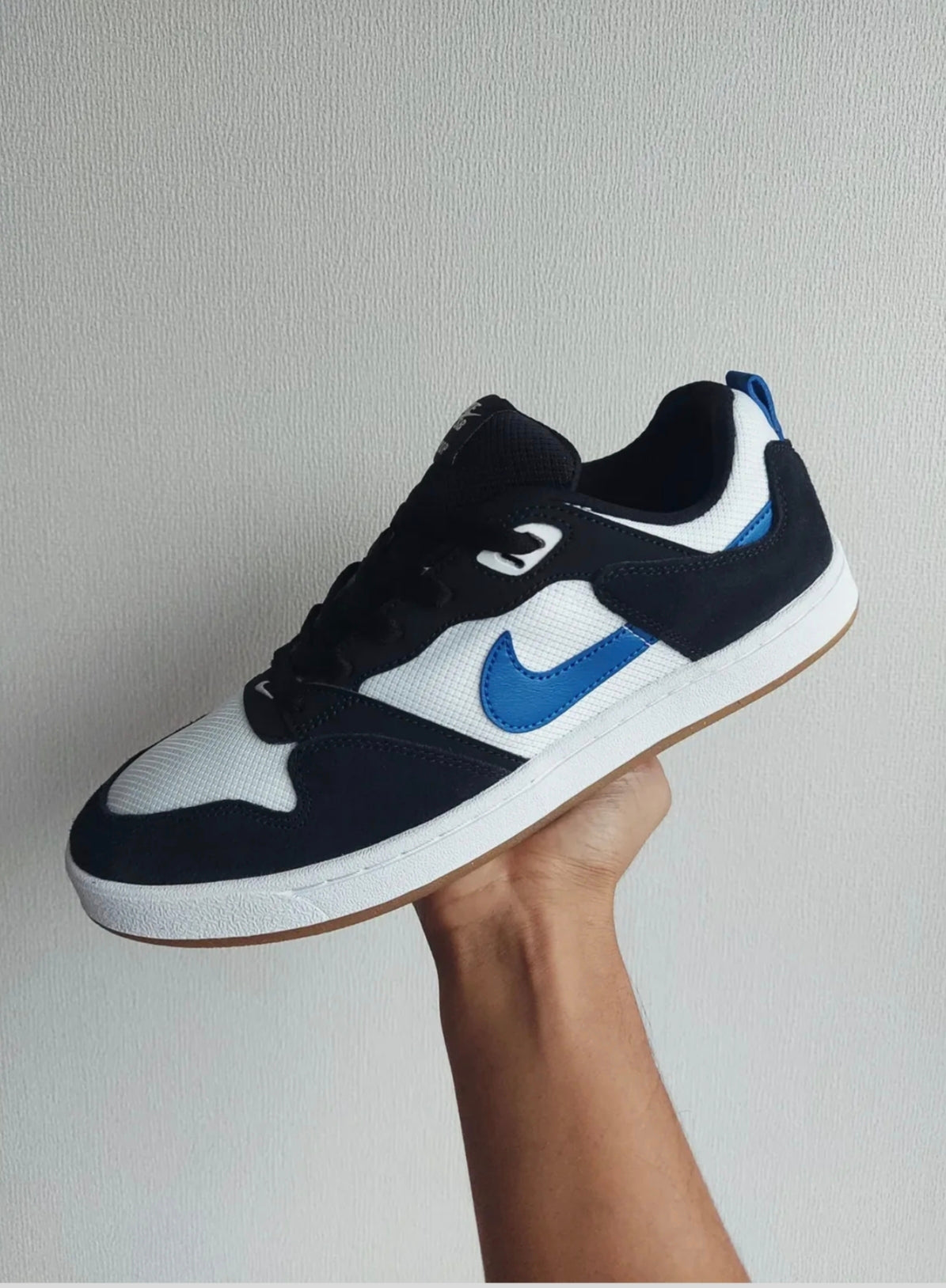 Zapatillas Nike SB Alleyoop